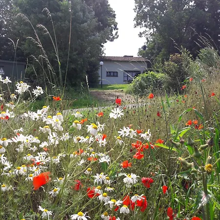 Haus Am Wald Vakantiehuis Lissendorf
