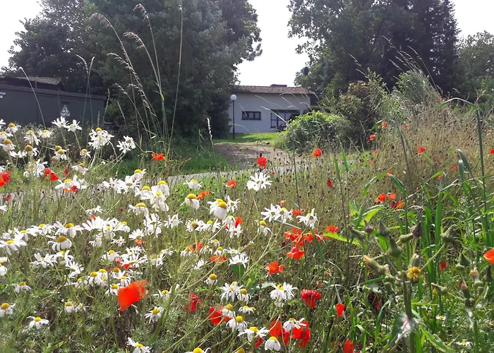 Haus Am Wald Semesterbostad Lissendorf