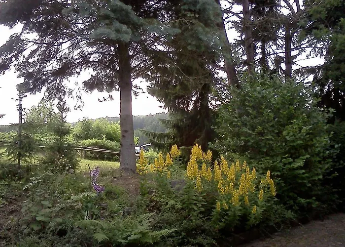 Haus Am Wald Lissendorf